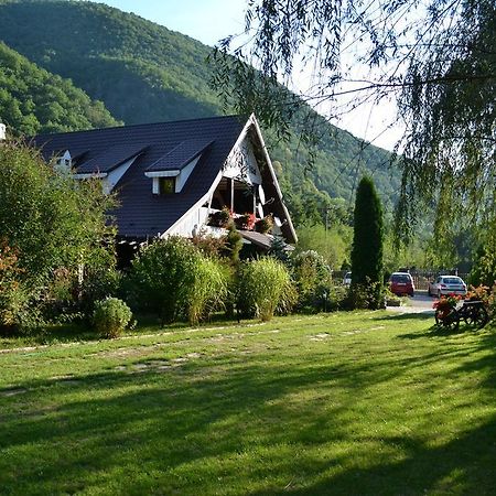 Pensiunea Dumbravita Hotell Rîu de Mori Eksteriør bilde