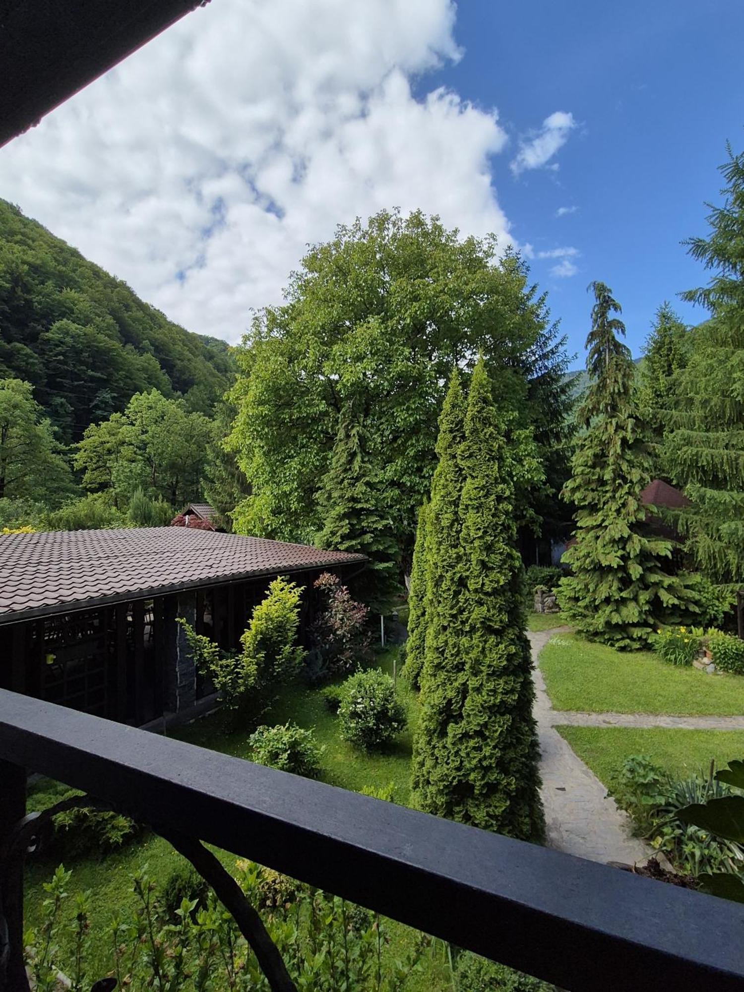 Pensiunea Dumbravita Hotell Rîu de Mori Eksteriør bilde