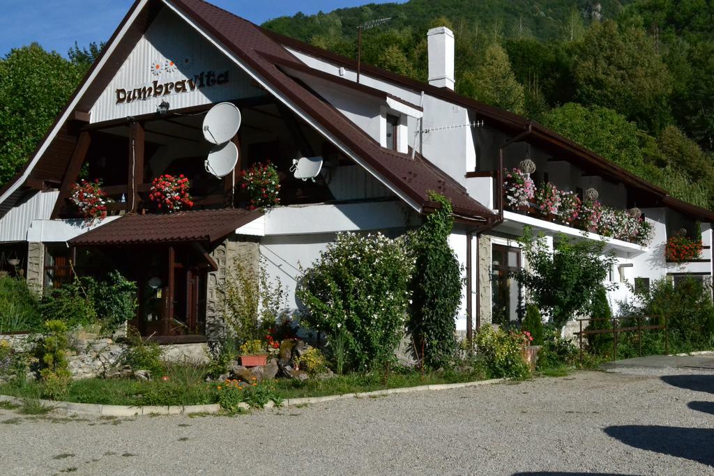 Pensiunea Dumbravita Hotell Rîu de Mori Eksteriør bilde